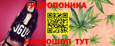 скорость Можга